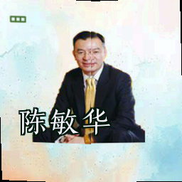 陈敏华